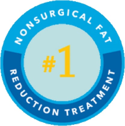 1 non surgical fat